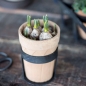 Preview: Vase aus Ton