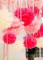 Preview: Pompom, extra large