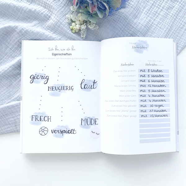 Tagebuch SS