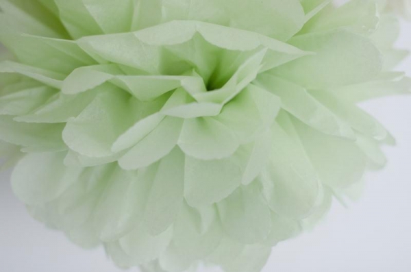 Pompon, large